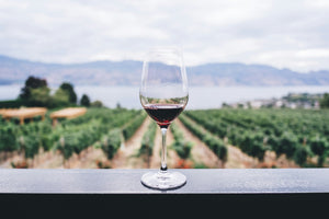Wein als Geschenk in Salzburg – die besten Ideen für jeden Anlass