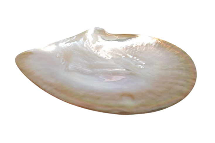 Kaviarschale Perlmutt