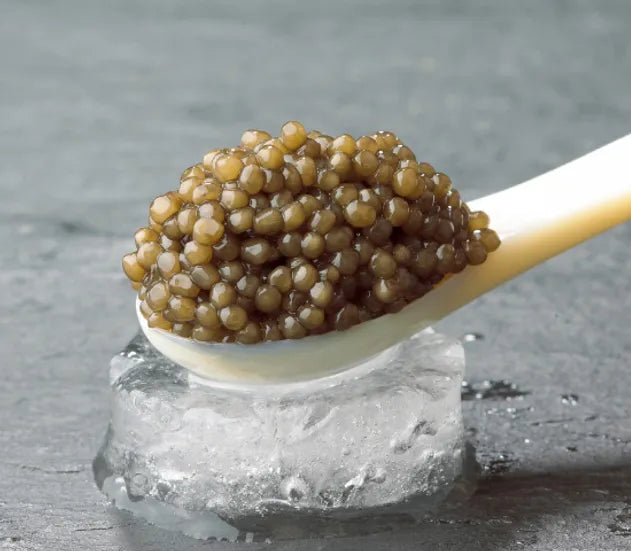 Ossetra Selection Kaviar