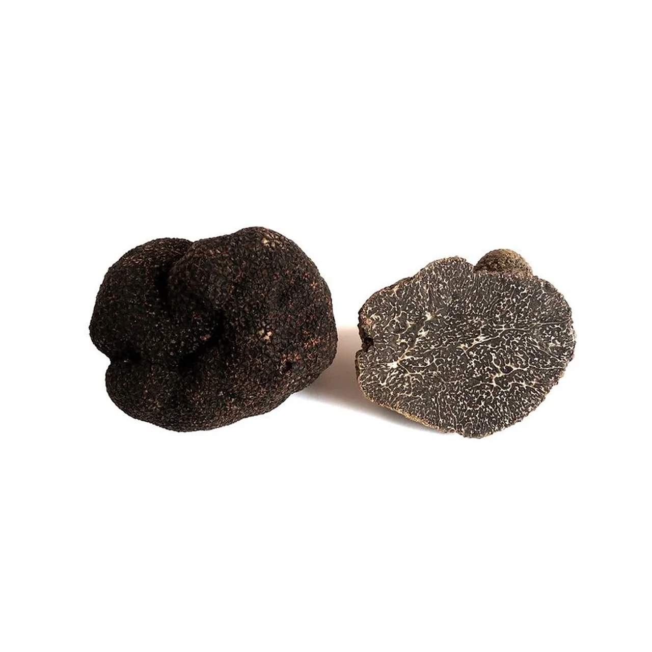 Tuber Melanosporum